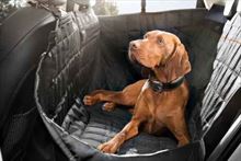 Cubierta protectora para mascotas