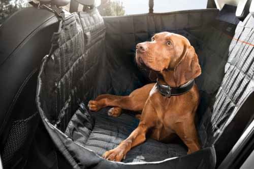 Cubierta protectora para mascotas