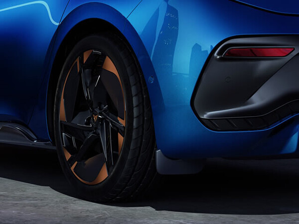 Faldillas guardabarros traseras Original Cupra Born