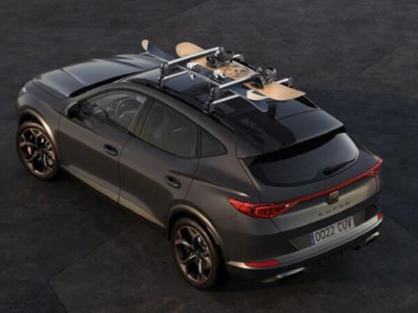 Portaesquís para 6 pares de esquís o 4 snowboards