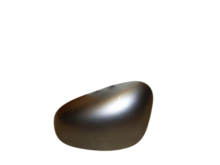 Tapa protectora para retrovisor Izquierdo Seat león